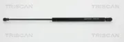 Gasfeder, Koffer-/Laderaum TRISCAN 8710 29242