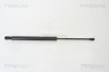 Gasfeder, Koffer-/Laderaum hinten links hinten rechts TRISCAN 8710 29253