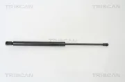 Gasfeder, Koffer-/Laderaum hinten links hinten rechts TRISCAN 8710 29253
