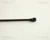 Gasfeder, Koffer-/Laderaum TRISCAN 8710 29257 Bild Gasfeder, Koffer-/Laderaum TRISCAN 8710 29257