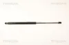 Gasfeder, Koffer-/Laderaum TRISCAN 8710 29289