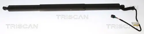 Gasfeder, Koffer-/Laderaum hinten links hinten rechts TRISCAN 8710 29306