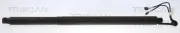 Gasfeder, Koffer-/Laderaum TRISCAN 8710 29314