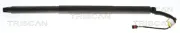 Gasfeder, Koffer-/Laderaum hinten links TRISCAN 8710 29320