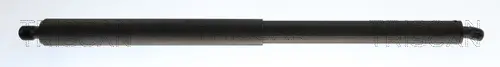 Gasfeder, Koffer-/Laderaum rechts TRISCAN 8710 29322