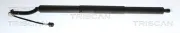 Gasfeder, Koffer-/Laderaum links TRISCAN 8710 29323