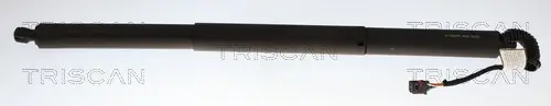 Gasfeder, Koffer-/Laderaum links rechts TRISCAN 8710 29330