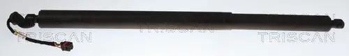 Gasfeder, Koffer-/Laderaum TRISCAN 8710 29331