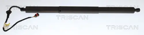 Gasfeder, Koffer-/Laderaum links rechts TRISCAN 8710 29336