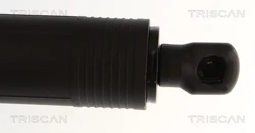 Gasfeder, Koffer-/Laderaum links rechts TRISCAN 8710 29338 Bild Gasfeder, Koffer-/Laderaum links rechts TRISCAN 8710 29338