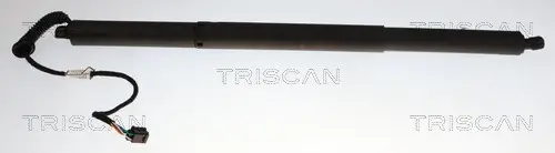 Gasfeder, Koffer-/Laderaum links rechts TRISCAN 8710 29338 Bild Gasfeder, Koffer-/Laderaum links rechts TRISCAN 8710 29338