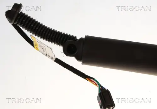 Gasfeder, Koffer-/Laderaum links rechts TRISCAN 8710 29339 Bild Gasfeder, Koffer-/Laderaum links rechts TRISCAN 8710 29339