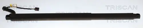 Gasfeder, Koffer-/Laderaum TRISCAN 8710 29340