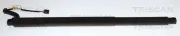Gasfeder, Koffer-/Laderaum TRISCAN 8710 29340