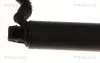 Gasfeder, Koffer-/Laderaum TRISCAN 8710 29340 Bild Gasfeder, Koffer-/Laderaum TRISCAN 8710 29340