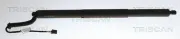Gasfeder, Koffer-/Laderaum links TRISCAN 8710 29342
