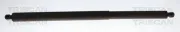 Gasfeder, Koffer-/Laderaum TRISCAN 8710 29344