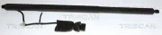 Gasfeder, Koffer-/Laderaum TRISCAN 8710 29346