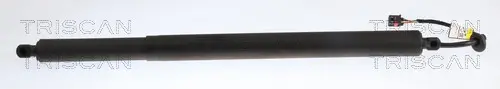 Gasfeder, Koffer-/Laderaum links rechts TRISCAN 8710 29349