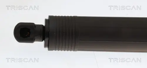 Gasfeder, Koffer-/Laderaum links rechts TRISCAN 8710 29349 Bild Gasfeder, Koffer-/Laderaum links rechts TRISCAN 8710 29349