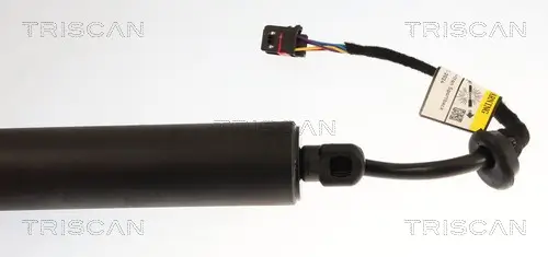 Gasfeder, Koffer-/Laderaum links rechts TRISCAN 8710 29349 Bild Gasfeder, Koffer-/Laderaum links rechts TRISCAN 8710 29349