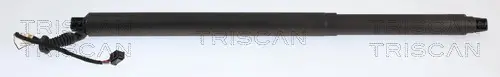 Gasfeder, Koffer-/Laderaum TRISCAN 8710 29350