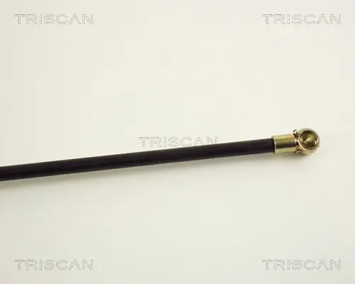 Gasfeder, Koffer-/Laderaum TRISCAN 8710 38201 Bild Gasfeder, Koffer-/Laderaum TRISCAN 8710 38201