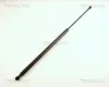 Gasfeder, Koffer-/Laderaum TRISCAN 8710 38213