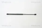 Gasfeder, Koffer-/Laderaum TRISCAN 8710 38218
