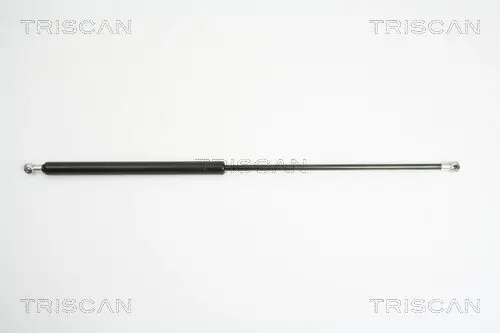Gasfeder, Koffer-/Laderaum hinten links hinten rechts TRISCAN 8710 38221