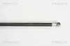 Gasfeder, Koffer-/Laderaum hinten links hinten rechts TRISCAN 8710 38225 Bild Gasfeder, Koffer-/Laderaum hinten links hinten rechts TRISCAN 8710 38225