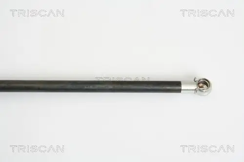Gasfeder, Koffer-/Laderaum hinten links hinten rechts TRISCAN 8710 38225 Bild Gasfeder, Koffer-/Laderaum hinten links hinten rechts TRISCAN 8710 38225