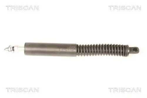Gasfeder, Koffer-/Laderaum TRISCAN 8710 38228