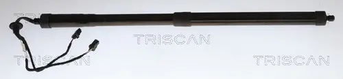 Gasfeder, Koffer-/Laderaum links TRISCAN 8710 38301
