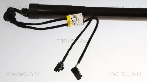 Gasfeder, Koffer-/Laderaum rechts TRISCAN 8710 38302 Bild Gasfeder, Koffer-/Laderaum rechts TRISCAN 8710 38302