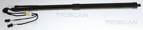Gasfeder, Koffer-/Laderaum rechts TRISCAN 8710 38302 Bild Gasfeder, Koffer-/Laderaum rechts TRISCAN 8710 38302