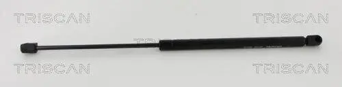 Gasfeder, Koffer-/Laderaum TRISCAN 8710 40203