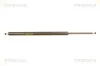 Gasfeder, Koffer-/Laderaum TRISCAN 8710 40214