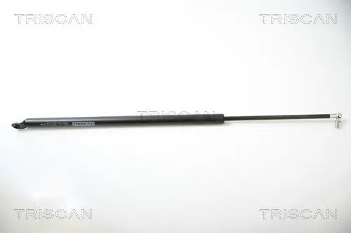 Gasfeder, Koffer-/Laderaum TRISCAN 8710 40222