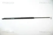 Gasfeder, Koffer-/Laderaum TRISCAN 8710 40222