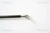 Gasfeder, Koffer-/Laderaum TRISCAN 8710 40222 Bild Gasfeder, Koffer-/Laderaum TRISCAN 8710 40222