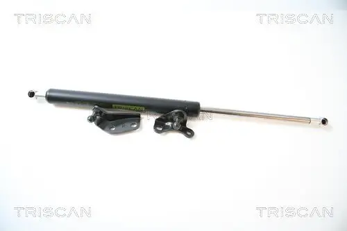Gasfeder, Koffer-/Laderaum rechts TRISCAN 8710 40224