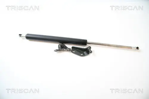 Gasfeder, Koffer-/Laderaum links TRISCAN 8710 40225