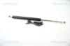 Gasfeder, Koffer-/Laderaum links TRISCAN 8710 40225