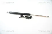 Gasfeder, Koffer-/Laderaum links TRISCAN 8710 40225