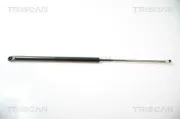 Gasfeder, Koffer-/Laderaum TRISCAN 8710 40226