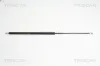 Gasfeder, Koffer-/Laderaum hinten links hinten rechts TRISCAN 8710 40230