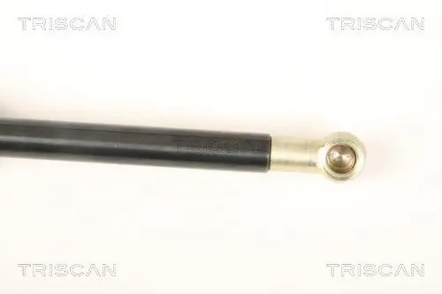 Gasfeder, Koffer-/Laderaum TRISCAN 8710 40231 Bild Gasfeder, Koffer-/Laderaum TRISCAN 8710 40231