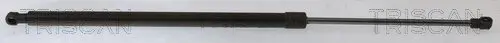 Gasfeder, Koffer-/Laderaum hinten rechts TRISCAN 8710 40243