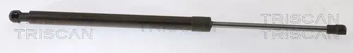 Gasfeder, Koffer-/Laderaum hinten links hinten rechts TRISCAN 8710 40244